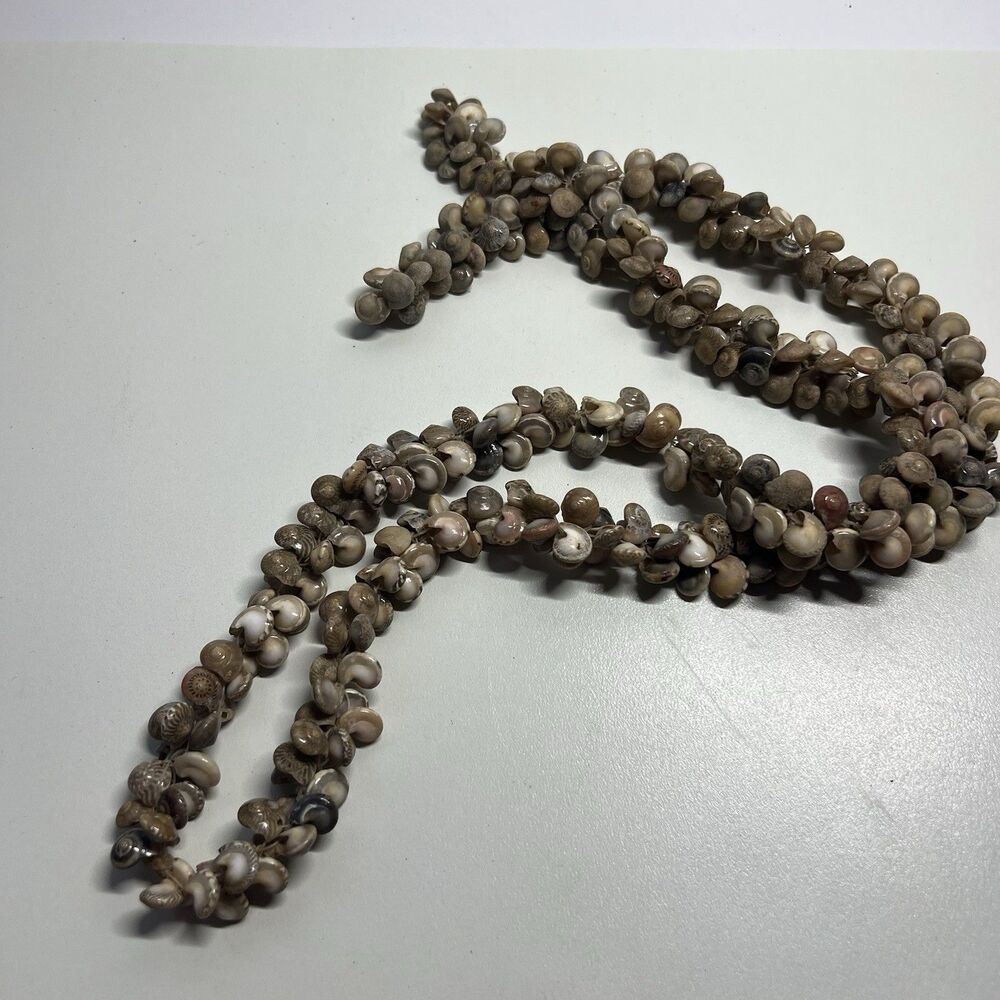 Vintage Hawaiian Umbonium Sea Shell Lei Necklace Multi Strand 30" Snail